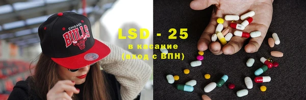 хмурый Ельня