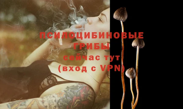 хмурый Ельня