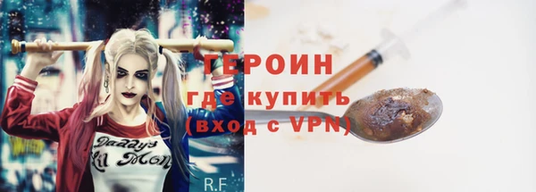 хмурый Ельня
