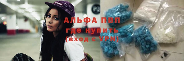хмурый Ельня