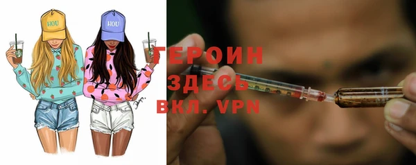 хмурый Ельня