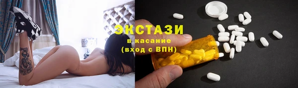 хмурый Ельня