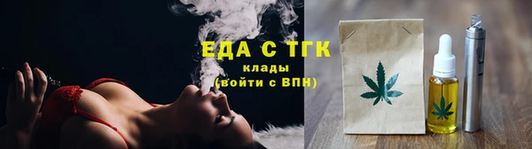 хмурый Ельня