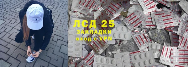 хмурый Ельня