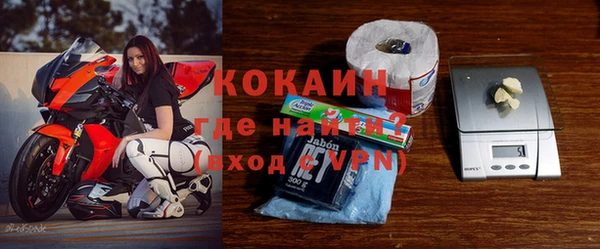 хмурый Ельня