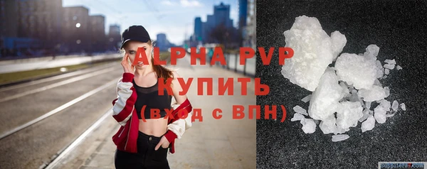хмурый Ельня