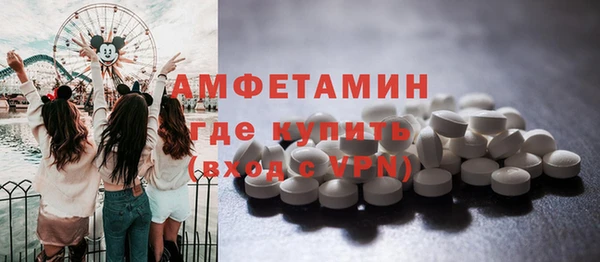 хмурый Ельня