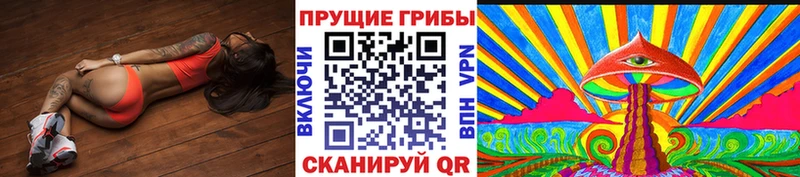 Купить где  Волоколамск  Псилоцибиновые грибы Psilocybine cubensis 